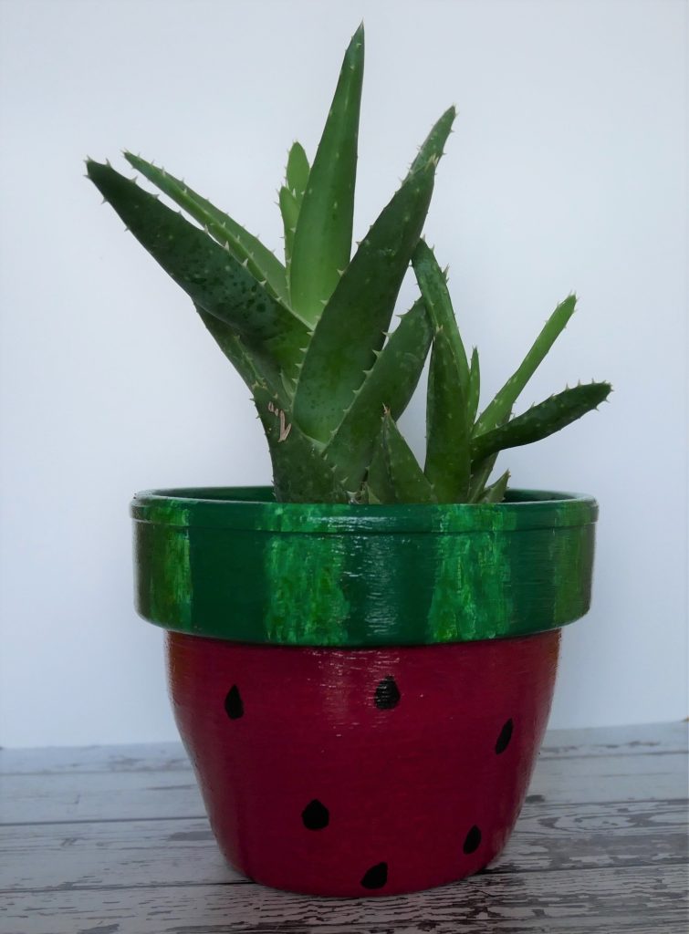 Vaso per piante dipinto come un cocomero